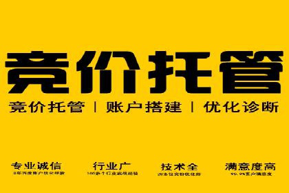 揭秘：竞价推广如何助力品牌在竞争中脱颖而出